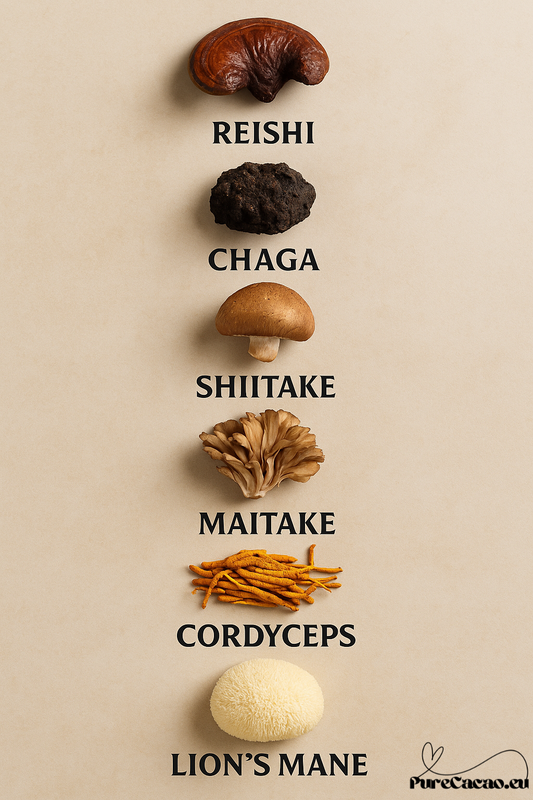 7 MUSHROOM BOOSTER mix Organic