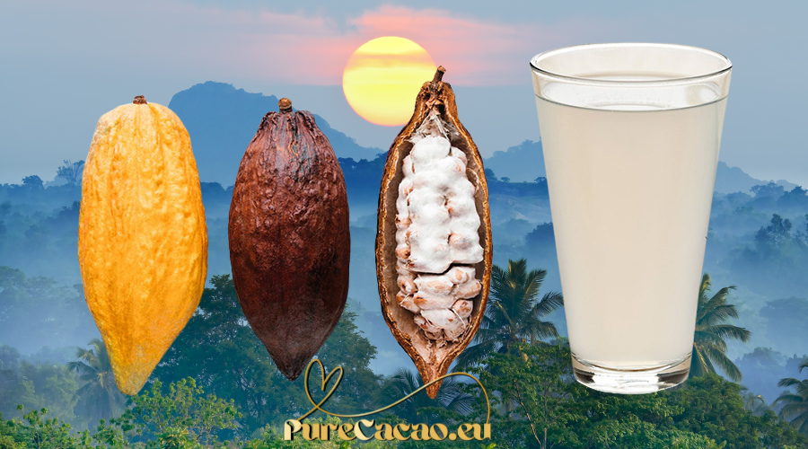 KAKAOFRISCHER SAFT - 16% RABATT - Garantie endet im NOVEMBER