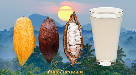 CACAO FRESH JUICE - 500g